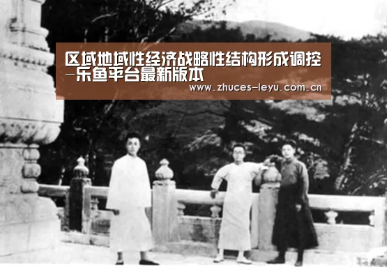 区域地域性经济战略性结构形成调控-乐鱼平台最新版本(图4) 乐鱼平台最新版本