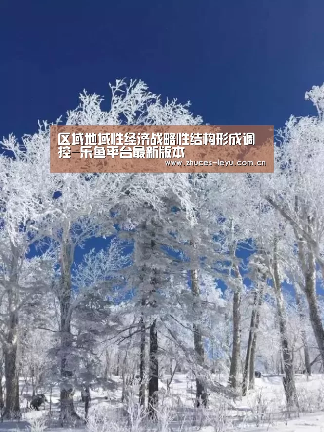 区域地域性经济战略性结构形成调控-乐鱼平台最新版本(图1) 乐鱼体育App下载