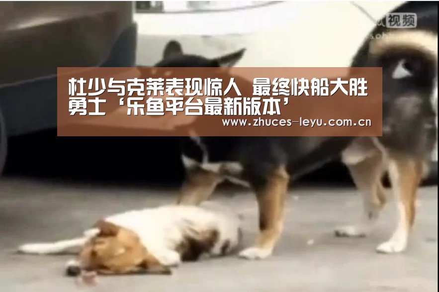 乐鱼平台最新版本