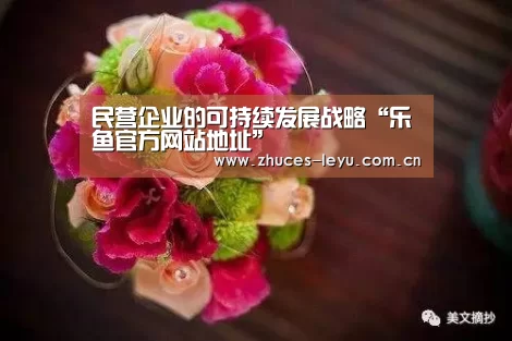 民营企业的可持续发展战略“乐鱼官方网站地址”(图3) 乐鱼极致竞技体验