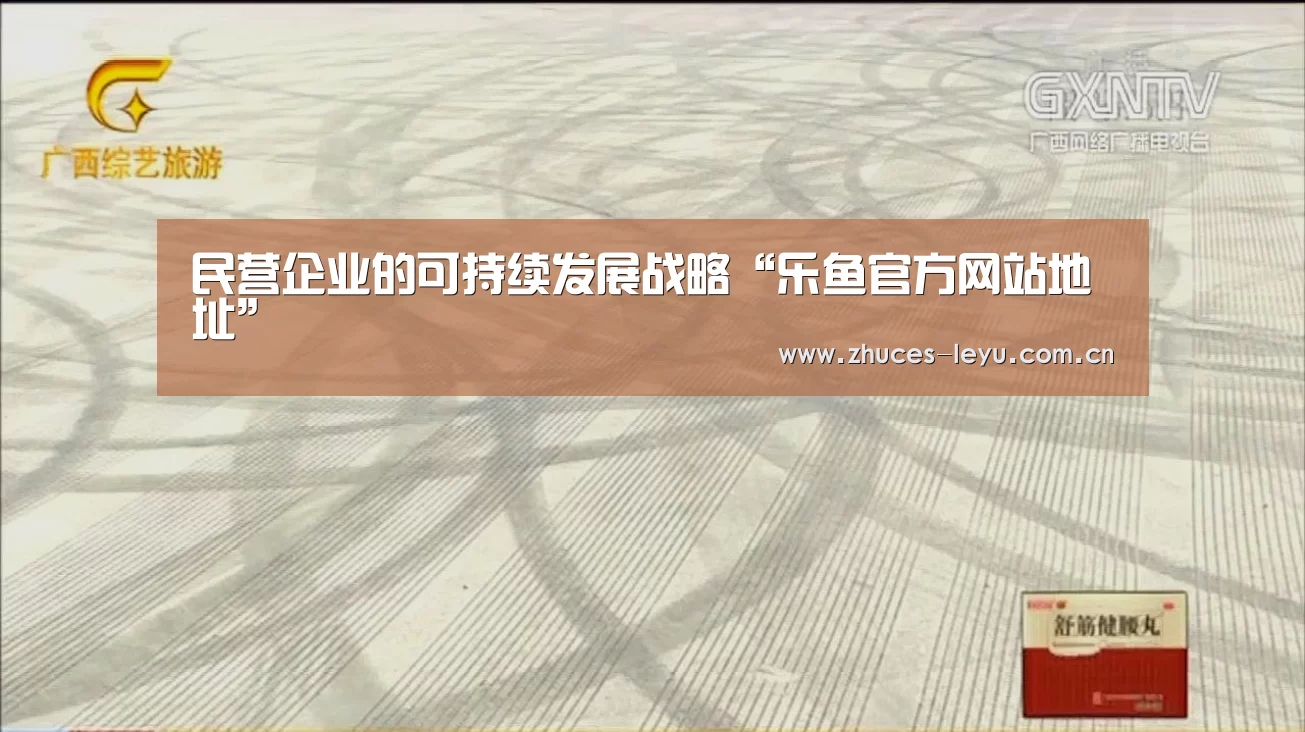 民营企业的可持续发展战略“乐鱼官方网站地址”(图2) 乐鱼体育App下载