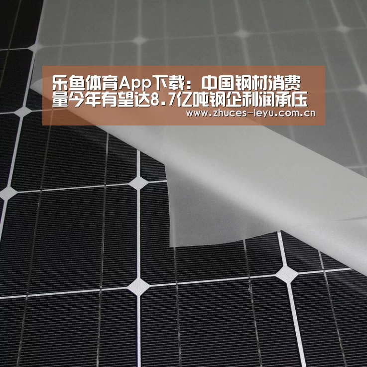 乐鱼体育App下载:中国钢材消费量今年有望达8.7亿吨钢企利润承压(图2) 乐鱼平台最新版本