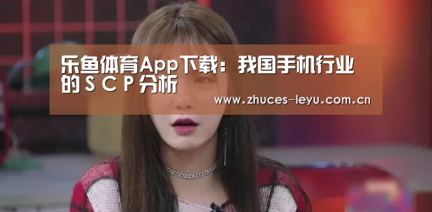 乐鱼体育App下载:我国手机行业的SCP分析(图3) 乐鱼体育App下载