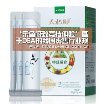 ‘乐鱼极致竞技体验’基于DEA的我国零售行业规模经济性研究(图1) 乐鱼极致竞技体验