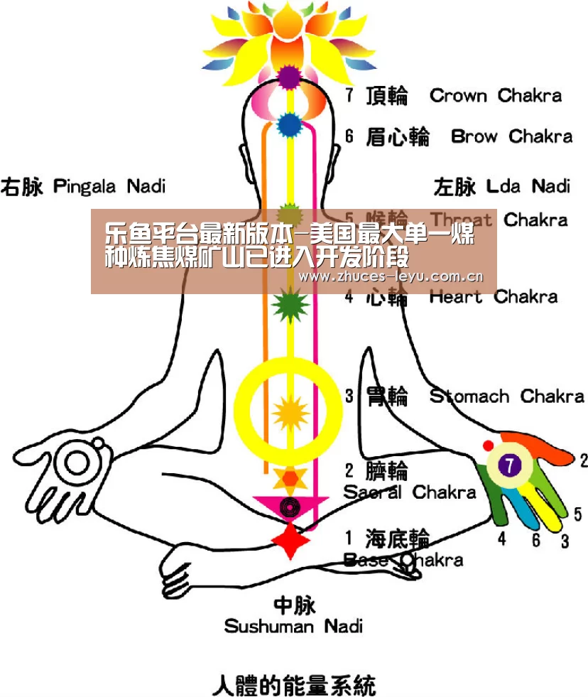 乐鱼极致竞技体验